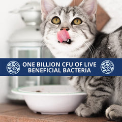 Under the Weather cat probiotic flavor chicken liver appeals to picky eaters.