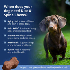 Under The Weather vet-formulated chews highlight USA-made quality and safe packaging