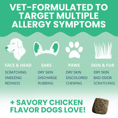 Under the Weather dog allergy chews coat-relief scene promotes a softer, healthier-looking coat.