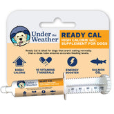 Under the Weather Ready Cal for Dogs 100cc tube close-up showing weight-gain support