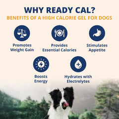 Under the Weather Ready Cal Plus Gel serving on paw, supports appetite even busy days