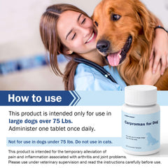 Unipomme Carpromax helps a dog walk with improved mobility on a sunny day.
