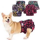 UNIPUP no-tail-hole diapers regular pack worn by a dog to prevent leaks.
