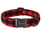 Unique style paws collar closeup shows sturdy metal buckle for festive walks.