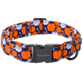 Unique Style Paws collar close-up shows durable metal buckle for secure daily wear.