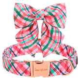 Unique style paws collar con cuadros rosa-verde para paseos con estilo.