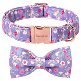 Collar Unique style paws con lazo removible para estilos diarios