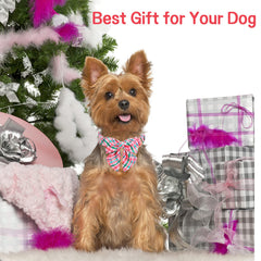 Unique style paws diseño con huellas, collar único para perros pequeños.