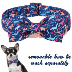 Unique Style Paws dinosaur park pattern collar detail highlights playful design for spring days.