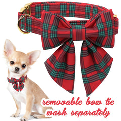 Unique Style Paws adjustable dog collar from XS to XL for secure, comfortable fit.