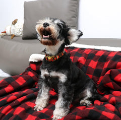 Unique Style Paws D-ring detail emphasizes secure leash attachment