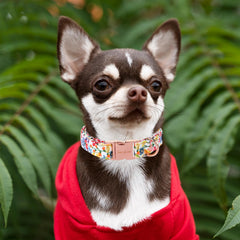 Unique Style Paws cotton collar detail showing soft, skin-friendly material