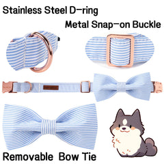 Unique Style Paws hebilla D soldada: durabilidad para uso diario.