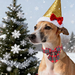 Unique Style Paws removable bowtie adds festive charm and easy detachment.