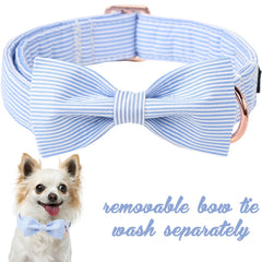 Unique Style Paws floral pink bowtie collar adds charming flair for walks.