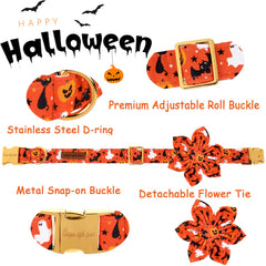 Unique style paws removable flower tie feature for easy seasonal styling and DIY collar customization