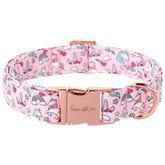 Unique Style Paws Valentine Rainbow Unicorn collar front view for festive daily wear