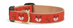 Up Country Foxy Pattern collar for medium necks, 12-18 inches, 5/8 inch narrow—durable daily wear.