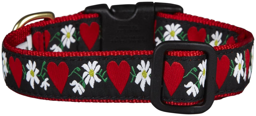 Up Country Hearts & Flowers dog collar large in vibrant pattern for everyday wear