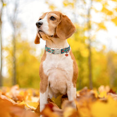 UP URARA PUP maple leaf pendant adds seasonal charm for photo-ready outings.