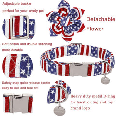 UP URARA PUP metal buckle closeup on collar emphasizes secure fit.