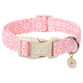 UP URARA PUP Summer Daisy Design collar for sunny walks and photo-worthy moments