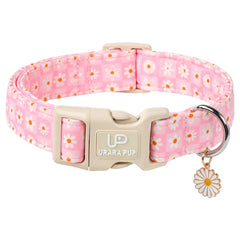 UP URARA PUP Summer Daisy Design collar for sunny walks and photo-worthy moments