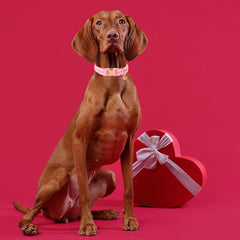 UP URARA PUP material close-up shows safe cotton fabric and sturdy stitching