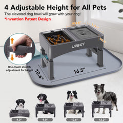 UPSKY slow-feeder bowl slows eating for mindful eating