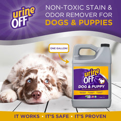Urine OFF multi-surface spray on carpet shows stain removal potential.