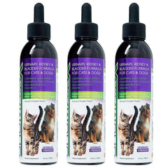 UroMAXX bottle front showing packaging for convenient urinary tract care