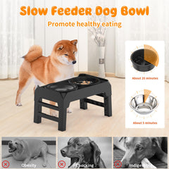 URPOWER slow-feeder-disk inside supports controlled eating pace