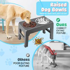 URPOWER stainless steel water bowl integrated with raised stand for easy hydration