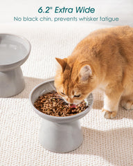 Vancasso 6.2-inch wide shallow food bowl reduces whisker fatigue.