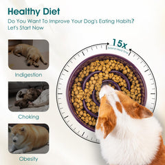 Vancasso slow-feeder bowl ceramic maze pattern closeup emphasizes 15x slower eating.