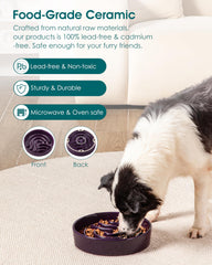 Vancasso large capacity option supports meals for big dogs or multi-pet homes