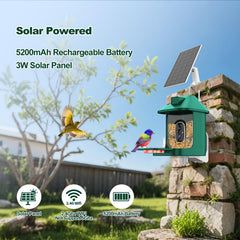 Vatjubi Bird Feeder Camera solar panel ensuring continuous charging outdoors