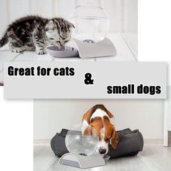 Vayugo Pet Water Dispenser top view highlights spill-free refill design.