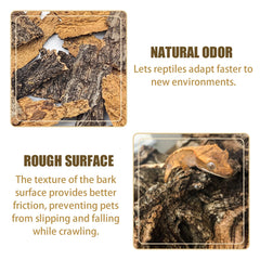 VCEPJH cork bark texture close-up shows natural mossy details for authenticity.