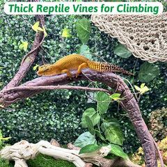 VCEPJH reptile vines green leaf cluster showcases natural greenery for hiding spots.
