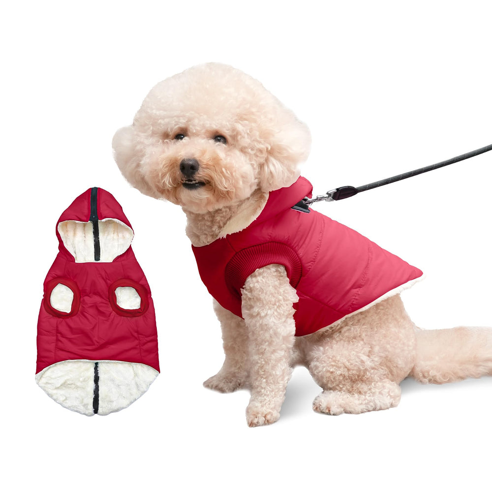 Vecomfy fleece-lining dog hoodie worn by a small dog, securing warmth and comfort