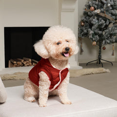 Vecomfy hooded dog jacket protecting ears from cold wind