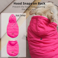 Vecomfy small dog hoodie pink worn on dog during winter walk for warmth
