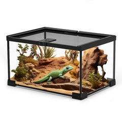 veectgoo small reptile glass terrarium 360 view showcases clear visibility for observation.