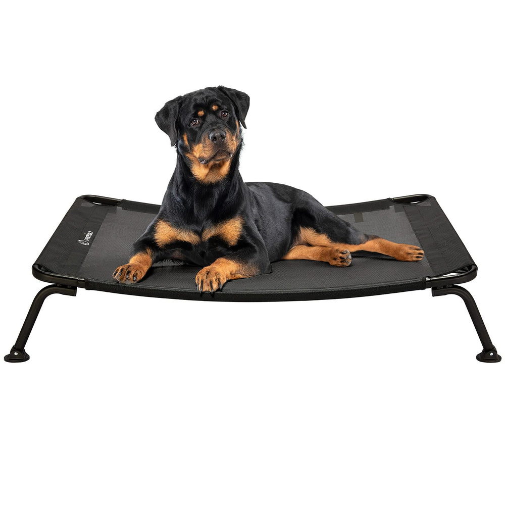Veehoo outdoor elevated dog bed setup for large breeds outdoors.
