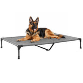 Veehoo outdoor elevated dog bed assembly demonstrates quick setup for travel.