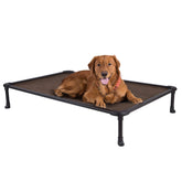 Veehoo chew-proof elevated bed frame—durable rustless aluminum for outdoor use.