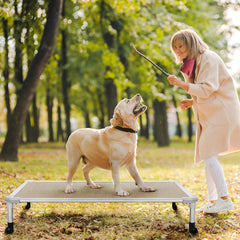 Veehoo elevated bed mesh provides breathable cooling comfort for dogs on hot days.