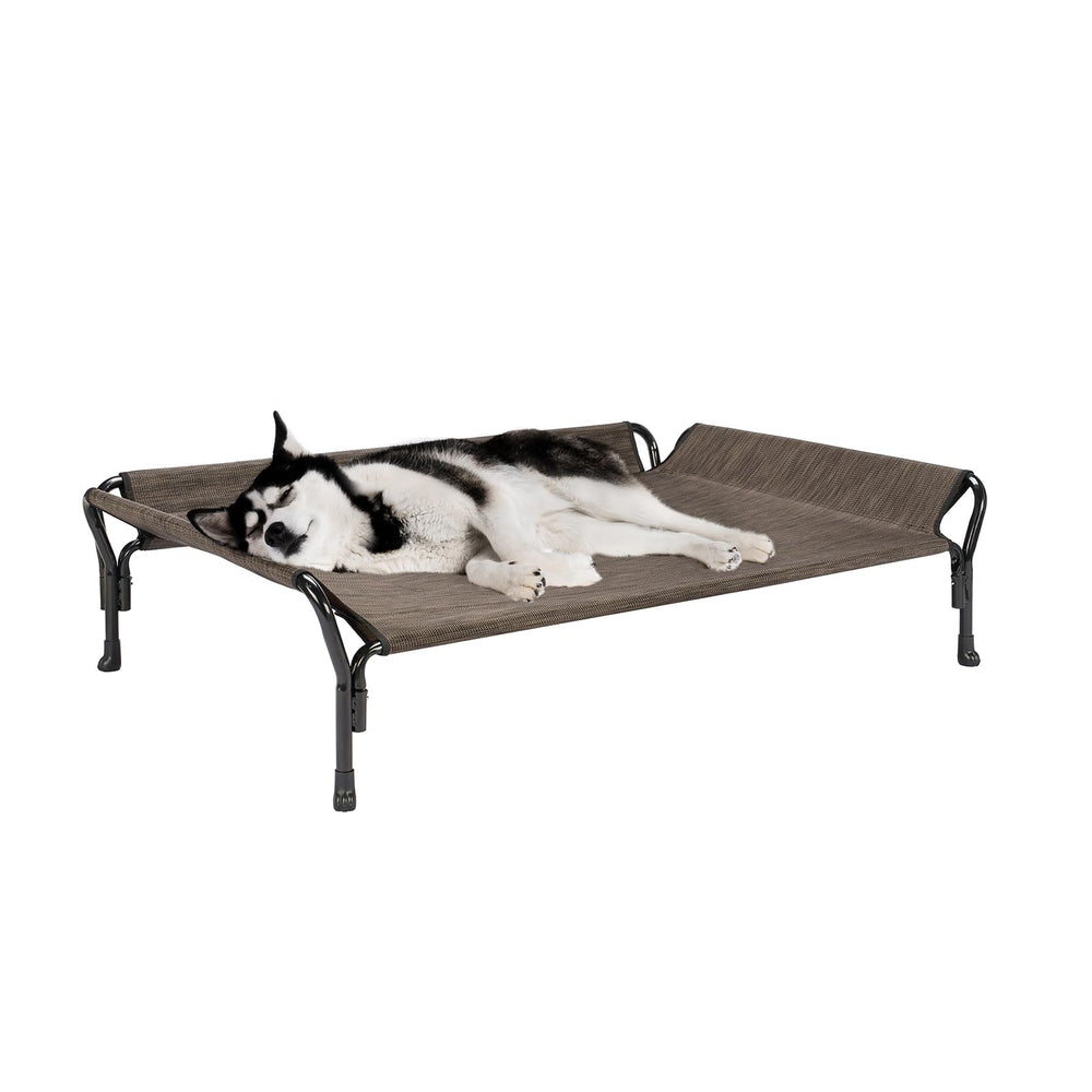 Veehoo cooling elevated dog bed setup with ample space for large breeds.