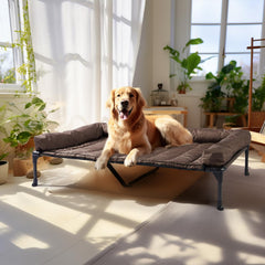 Veehoo cooling elevated dog bed XL front view shows spacious frame for large breeds